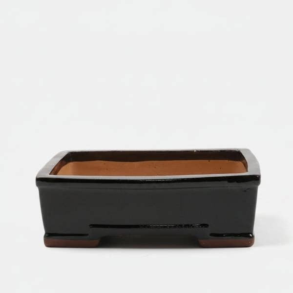 31cm Glazed Bonsai Pot | Rectangle | 31cm x 25cm x 10cm | Black - Yorkshire Bonsai