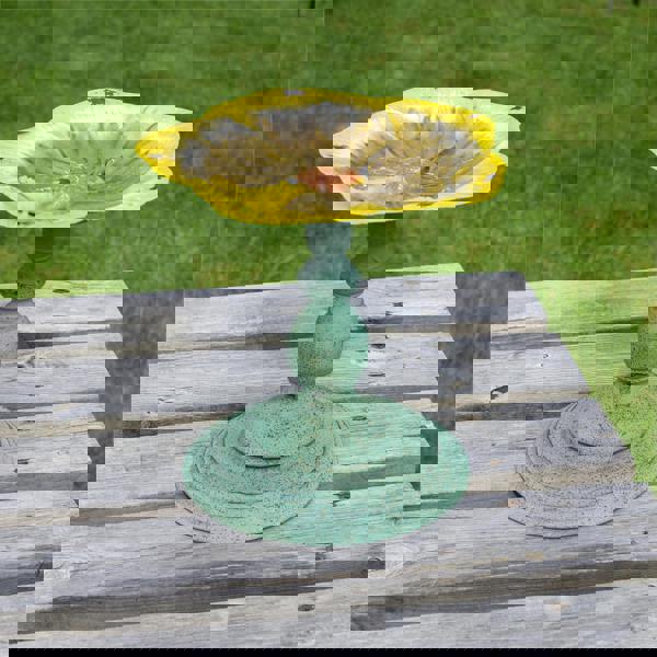 St Helens Ornamental Free Standing, Weather Resistant, Pedestal Style, Easy Assemble Bird Bath