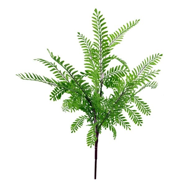 Leaf 55cm Himilayan Maidenhair Fern Bush Light Green Plant