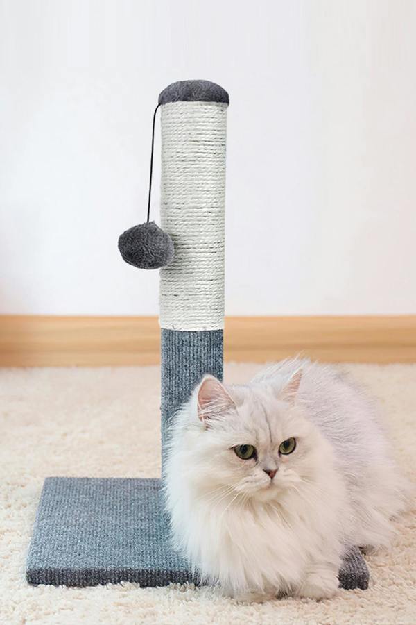 55cm Tall Cat Scratching Posts Cat Scratchers with Dangling Ball Vertical Scratcher and Premium Sisal Rope