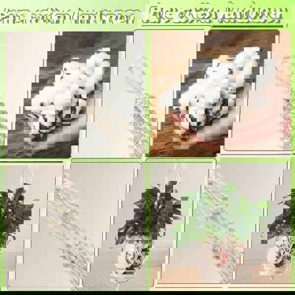 deAO Toys 3 Pack Hanging Basket Indoor Outdoor Hanging Plant basket with 3 Hooks