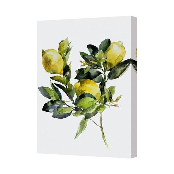Benjamin Tate Design Contemporary Lemon Botanical Canvas Art Print On Deep Gallery Frame