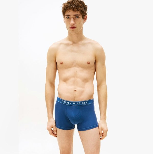Tommy Hilfiger 3 Pack Mens Trunks Des Sky/Calico/Fssl Blue