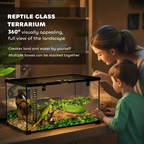 Black glass reptile terrarium with plants and thermometer on display stand