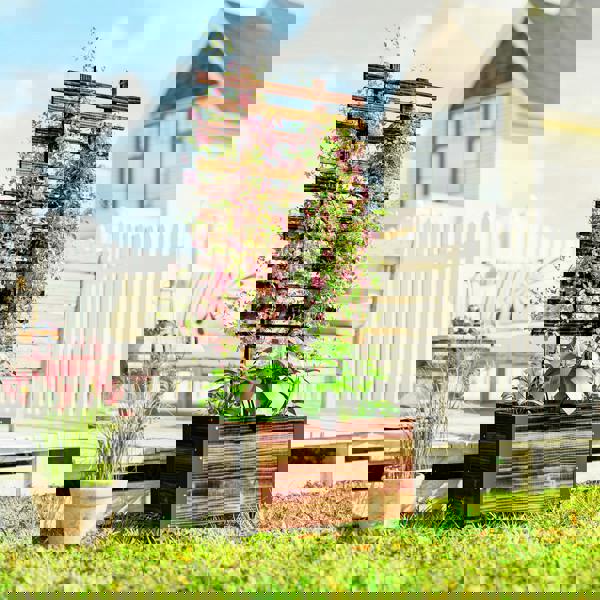 Multi-functional Garden Bed