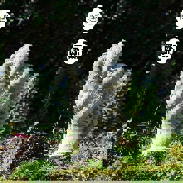 Stone Cast Thai Oriental Lovers Bust Garden Statue