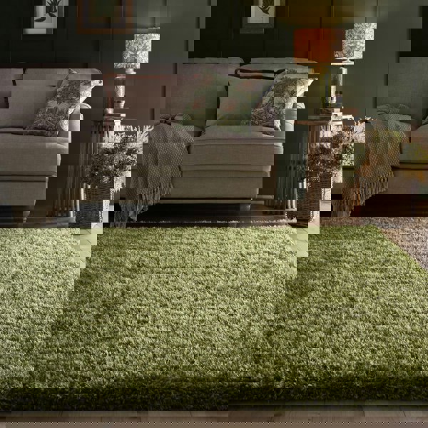 Origins Chicago Olive