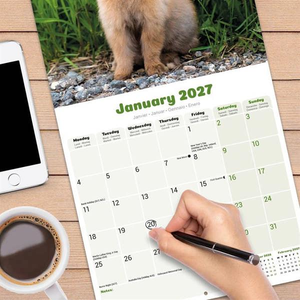 Rabbits Calendar 2027, Wall Calendars, Month To View, Animals, Gift