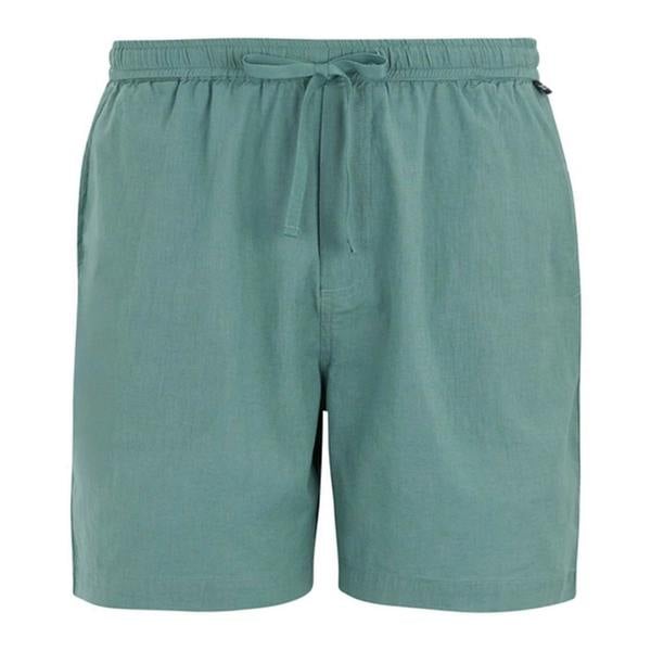 Regatta Mens Hadlin Shorts - Arctic - 