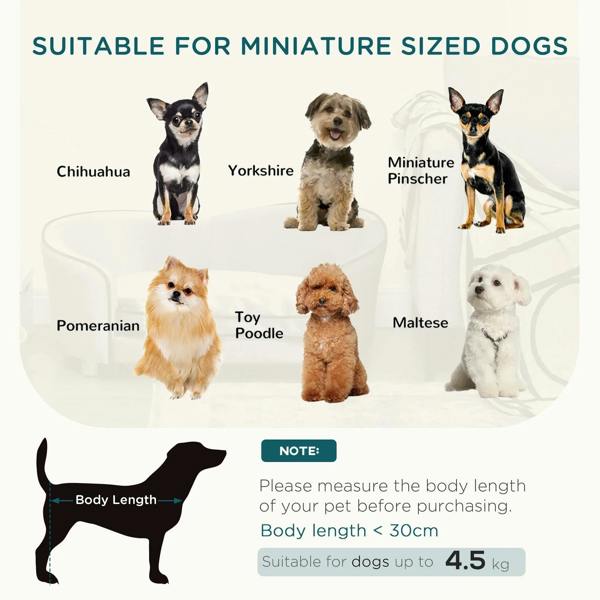 Pet sofa chair infographic for miniature-sized dogs