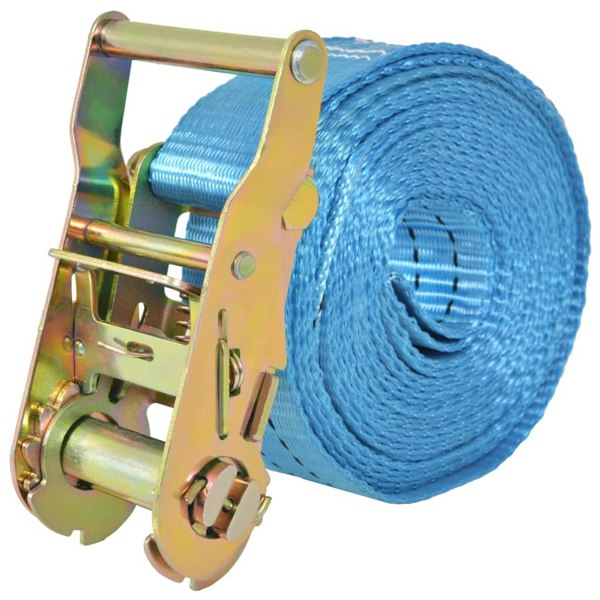 Berkfield Ratchet Tie Down Straps 10 pcs 2 Tonnes 6mx38mm Blue
