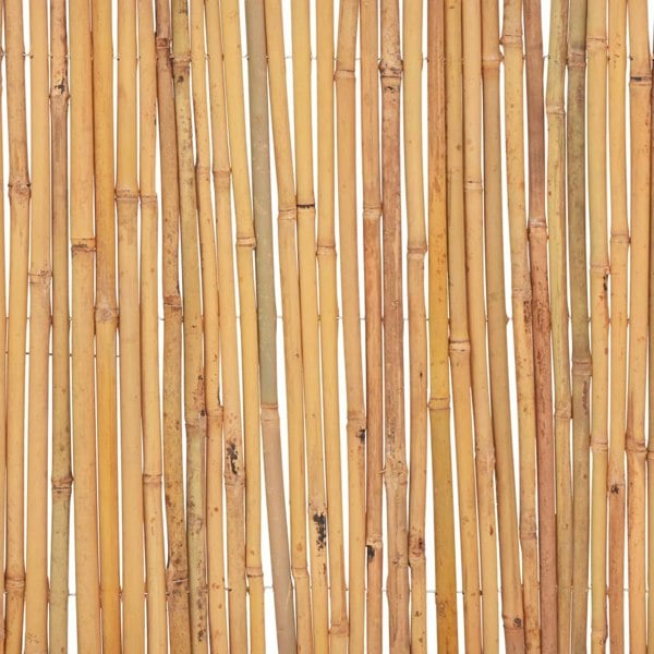 Berkfield Bamboo Fence 500x30 cm