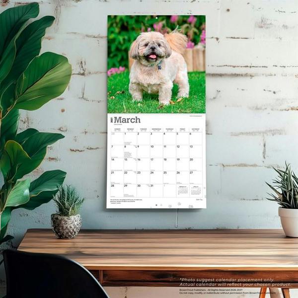 Shih Tzus Calendar 2027, Wall Calendars, Month To View, Dogs, Gift