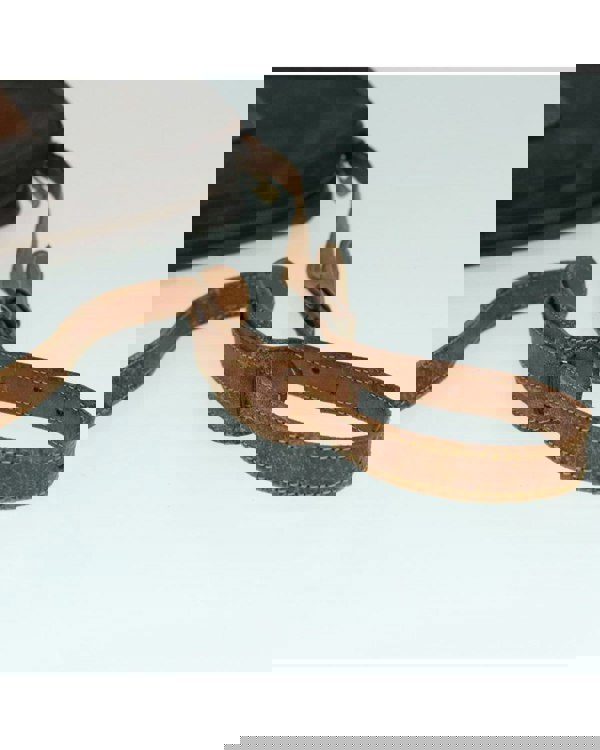 193995587.jpg
