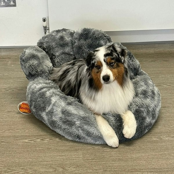 Snug and Cosy Pets Anxiety Relieving Calming Dog Bed Paw