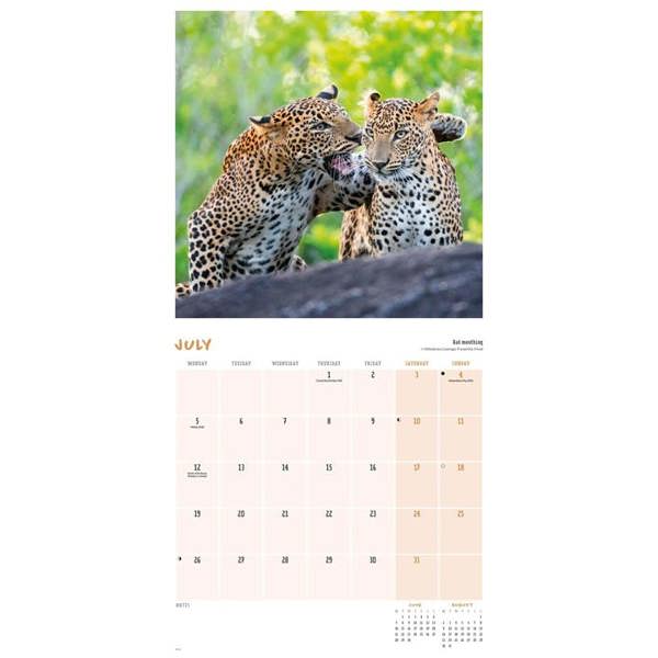 Comedy Wildlife Photography Awards Calendar 2027, Wall Calendars, Month To View, Humour, Gift