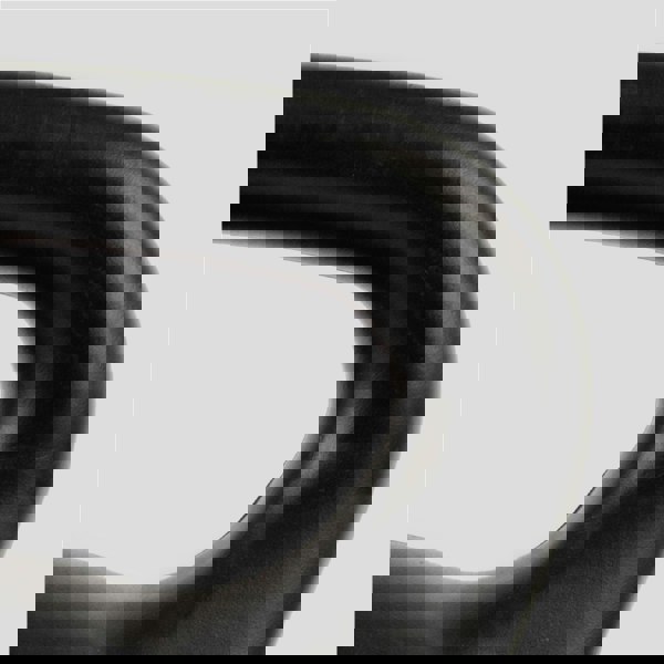 Phoenix Fitness Kettlebell 20KG