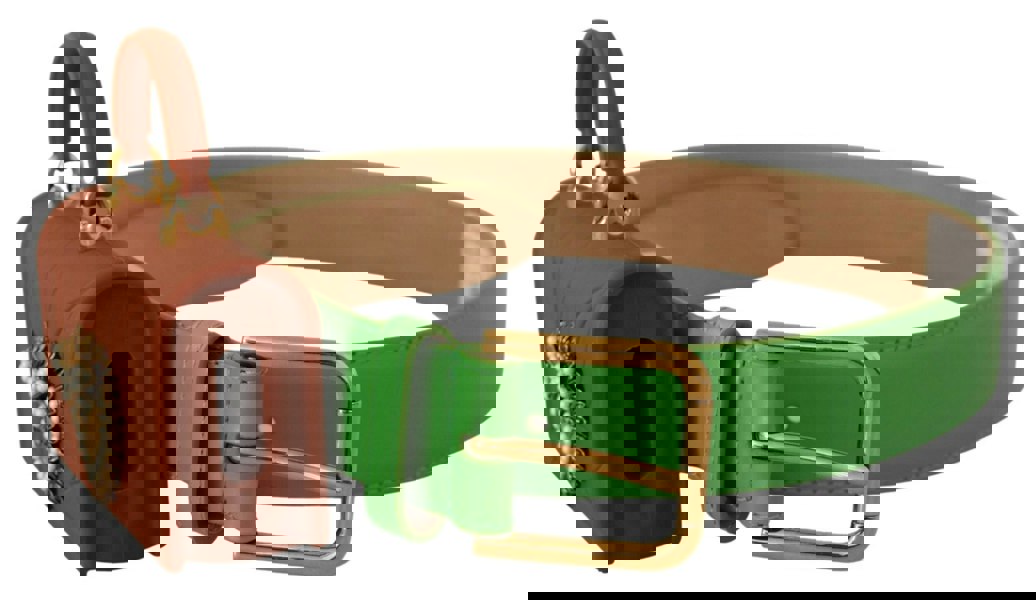 146213841.jpg