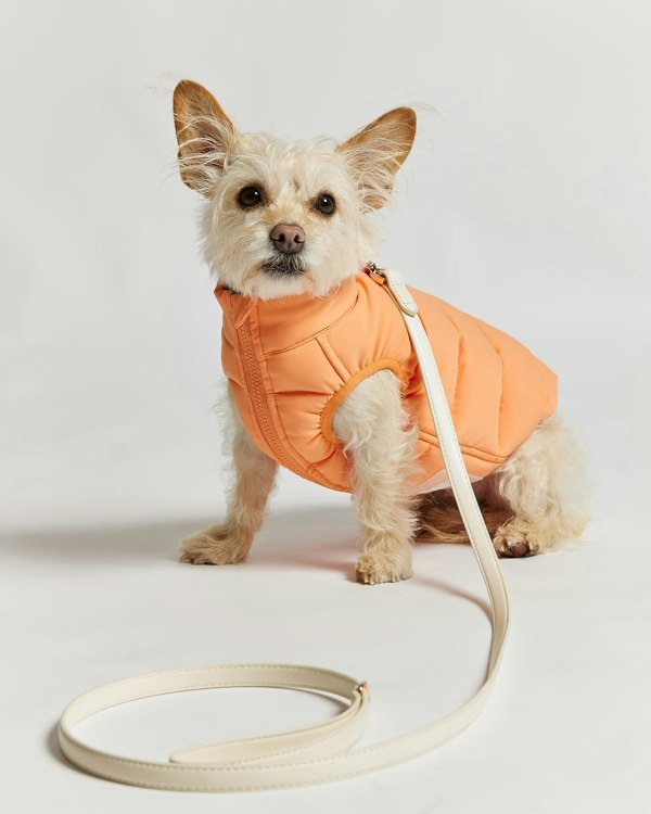 Barc London Reversible Dog Puffer Jacket - Coral & Khaki Green