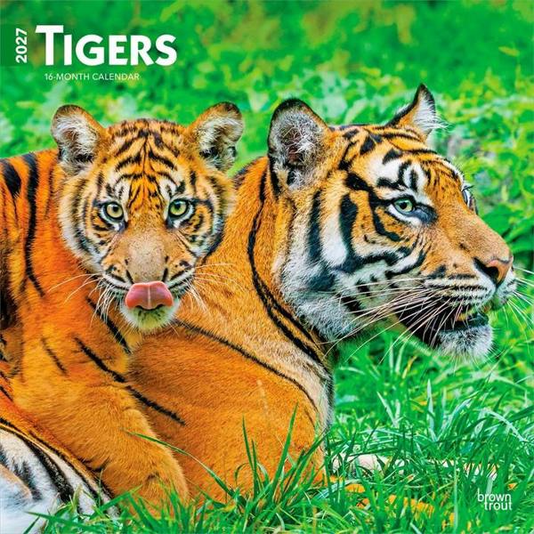 Tigers Calendar 2027, Wall Calendars, Month To View, Animals, Gift