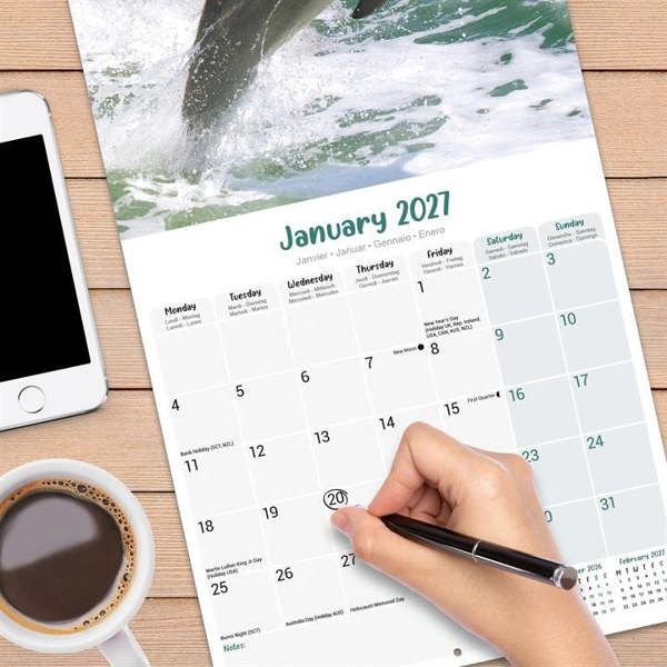Dolphins Calendar 2027, Wall Calendars, Month To View, Animals, Gift