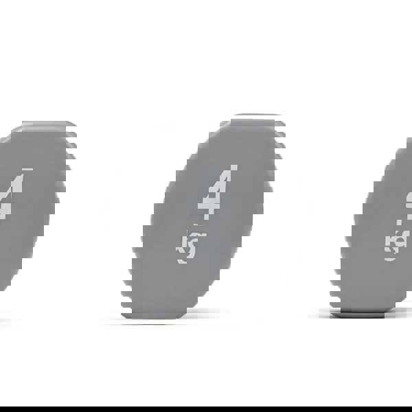 Reebok 4kg Dumbbell showing 4kg image on the end of the dumbbell