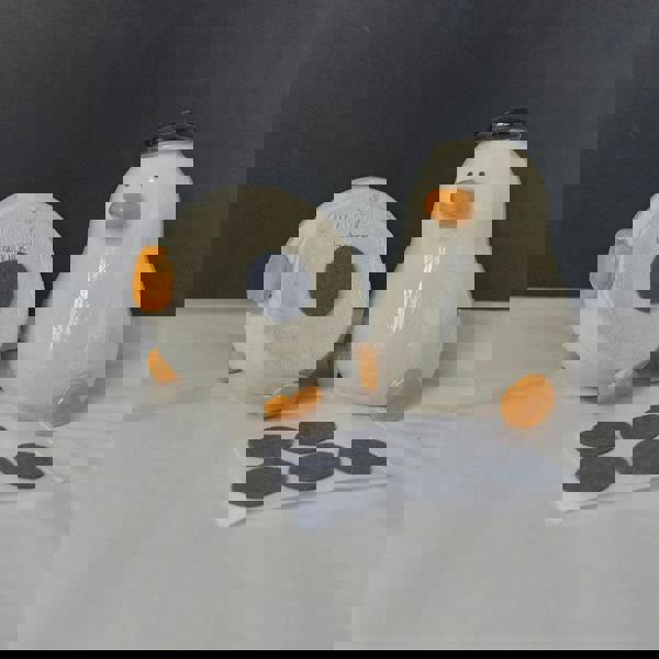 Handmade Duck Salt & Pepper Shakers – UK Ceramic Pair