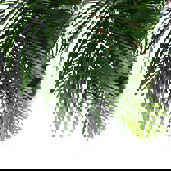 Leaf 150cm Areca Palm Artificial Tree