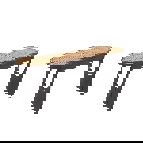 Angelia Vine Woven Bench-Weilai Concept-Weilai Concept