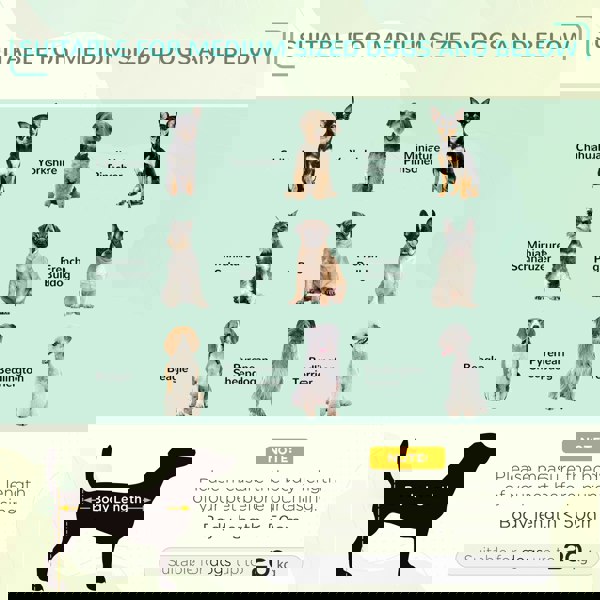 D04-068