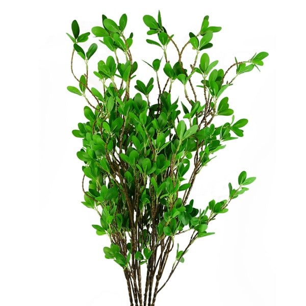 Leaf Pack of 6 x 100cm Mini Leaf Ficus Stem