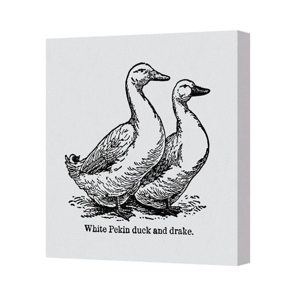 Benjamin Tate Design White Pekin Duck And Drake Canvas Wall Art Print Handmade In UK
