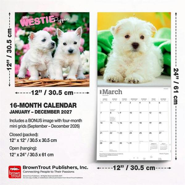 Westie Puppies Calendar 2027, Wall Calendars, Month To View, Dogs, Gift