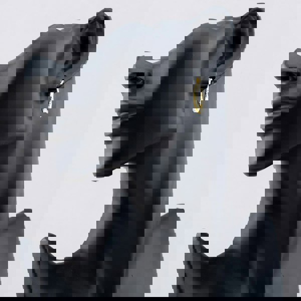 T. H. Baker Silver Gold Plated Twist Patterned Oval Creole Hoop Earrings S3100