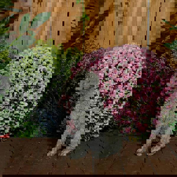 Rottweiler Puppy Stone Cast Ornament 