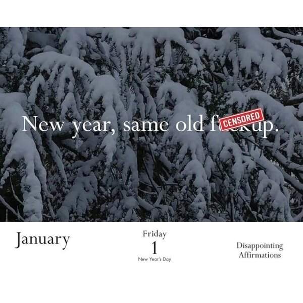 Chronicle Books Disappointing Affirmations Desk Calendar 2027, Desk Calendars, Day To View, Humour, Gift