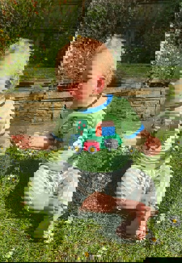 Organic Hillside Applique Short Sleeved T-Shirt - Toby Tiger