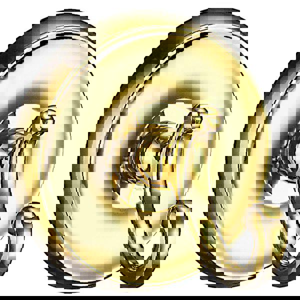 Polished brass towel hook