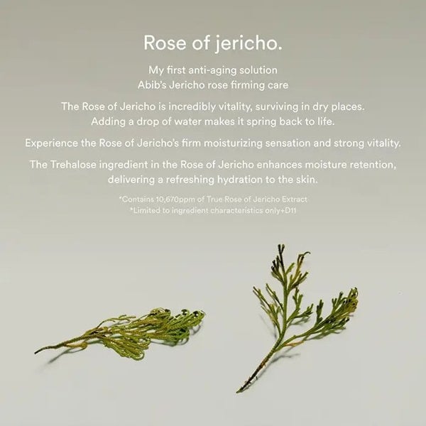 ABIB Jericho Rose Collagen Pad : Firming Touch (60 Pads) 250ml