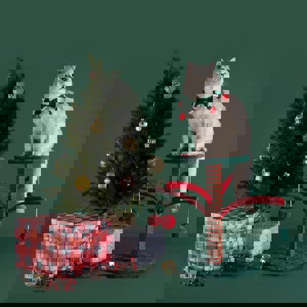 NA62 Pet Furniture Cat Kitten Christmas Tree, Scratcher Tree-Weilai Concept-Weilai Concept