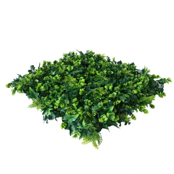 Premium Artificial Green Wall Panel 50cm x 50cm - Ivy - Evergreenery