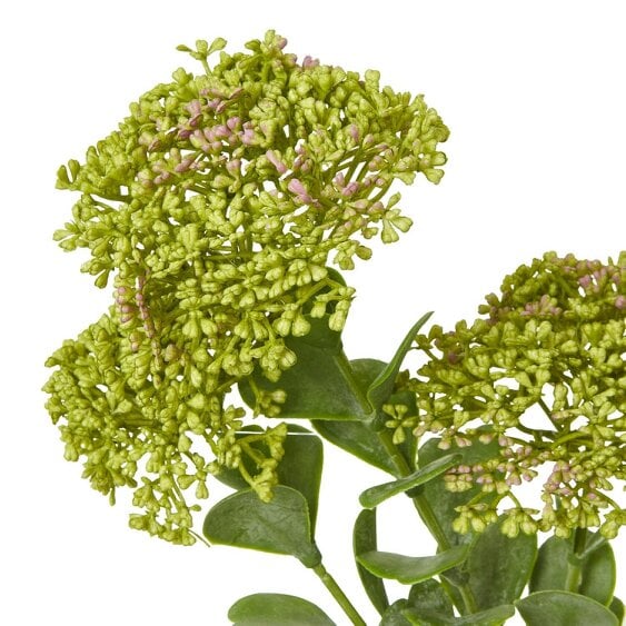 Wyld Haus Set of 3 Artificial Flowers Green Sedum Sprays