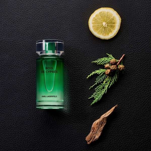 Karl Lagerfeld Bois de Cyprès Eau de Toilette 50ml - Additional 2