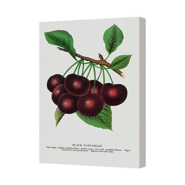 Benjamin Tate Design Black Tartarian Cherry Canvas Print Wall Art For Home Decor