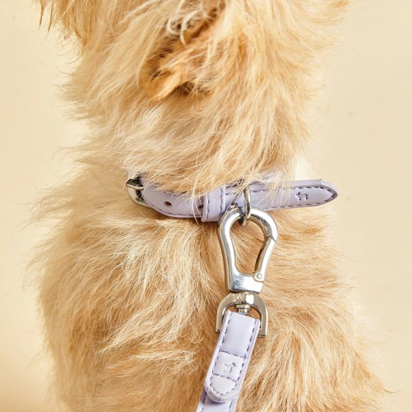 Lilac Dog Collar with Silver Buckles.