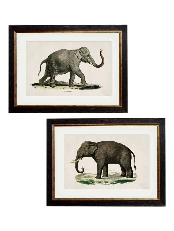 Exceptional Art c.1846 Elephants