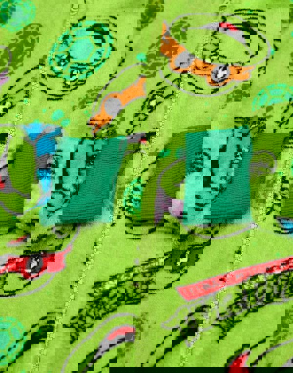 Teenage Mutant Ninja Turtles Boys Green Novelty Masks Onesie