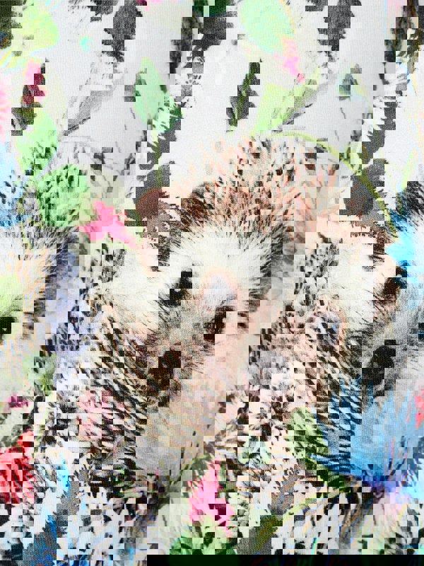 Molo Baby Girls T-Shirt