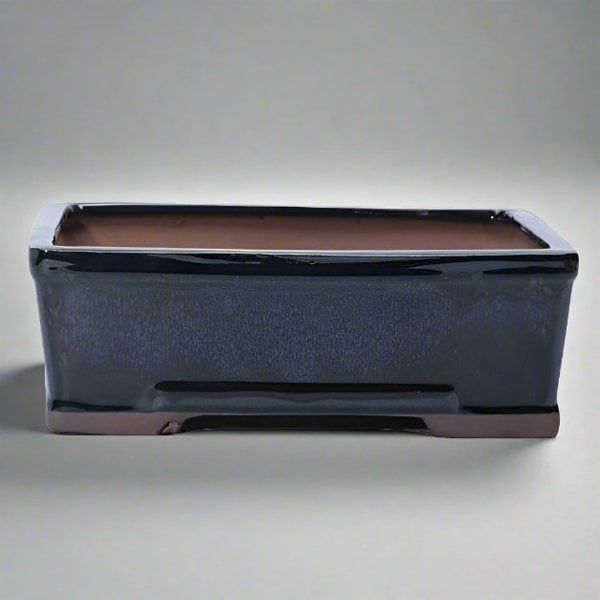 Yorkshire Bonsai 20cm Glazed Bonsai Pot | Rectangle | 20cm x 15cm x 6cm | Black