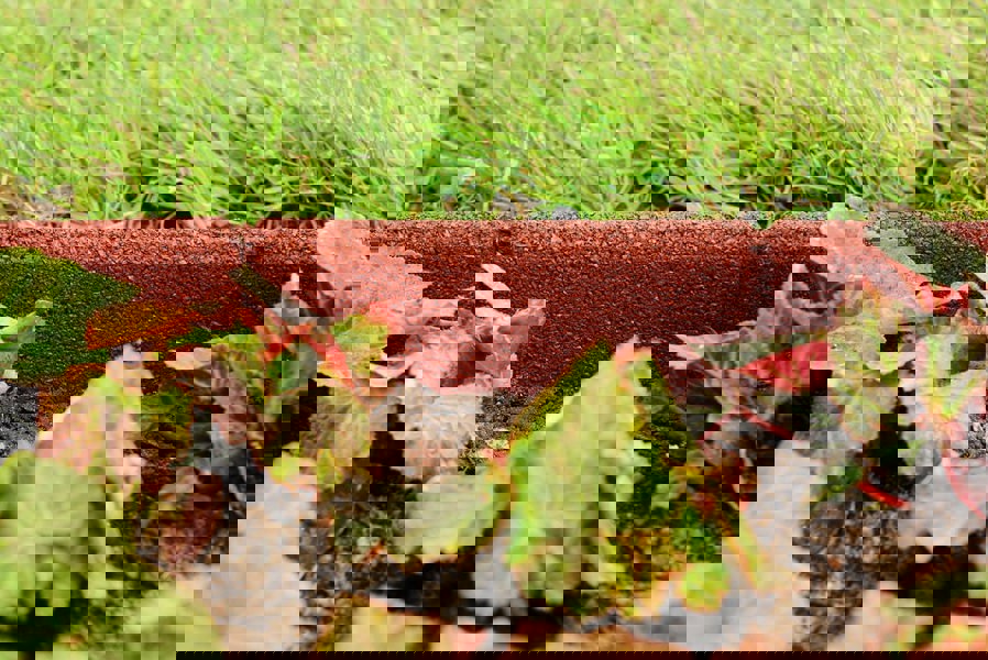 FlexiBorder Terracotta FlexiBorder